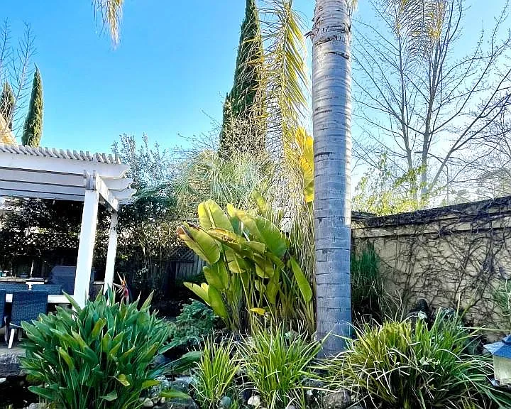 41 Presidio Dr — Photo 47