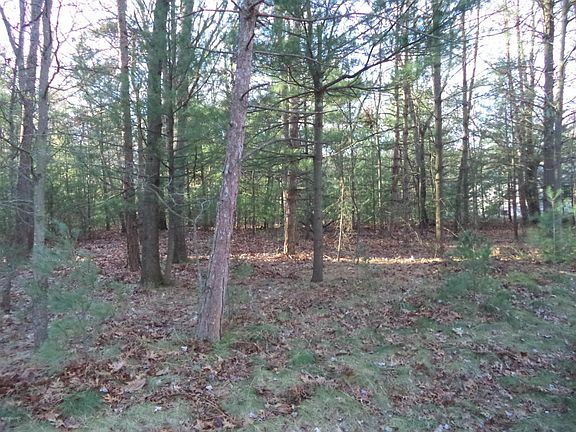 3rd image of 4839 Sandpiper Dr
