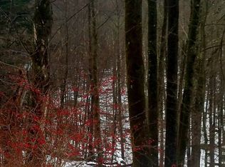 Fuller Hill Rd, Downsville, NY 13755