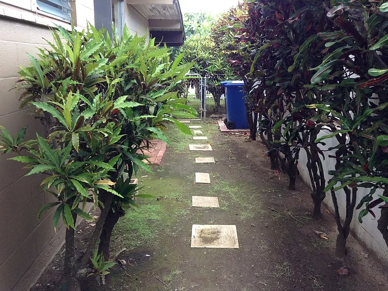 877 Maniniholo St — Photo 4
