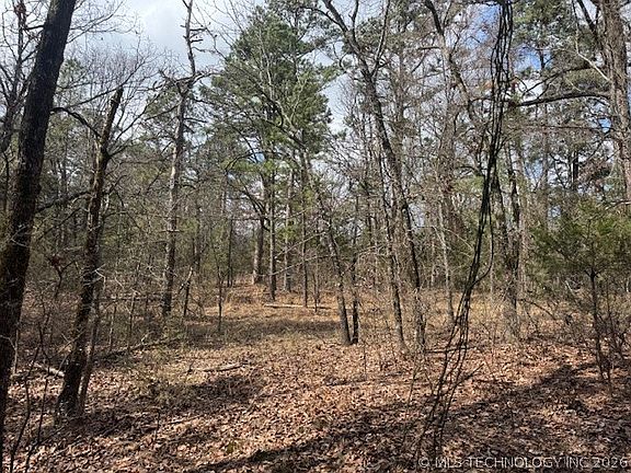 4th image of Turkey Creek Rd