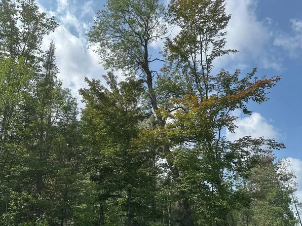 Malvern Fire Ln, Rhinelander, WI 54501