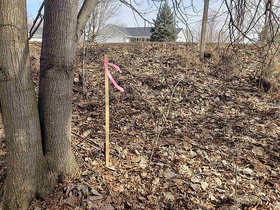 5th image of Bialozynski Rd #1