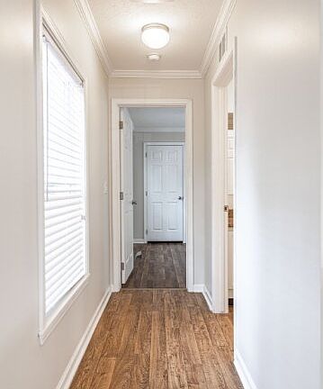 3rd image of 435 W Baltimore Ave #B