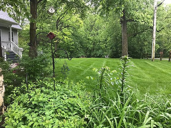 Side yard 