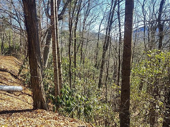 5th image of LOT 41 Pipetrack Gap Rd