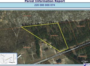 1 Mount Olivet Church Rd, Patrick, SC 29584