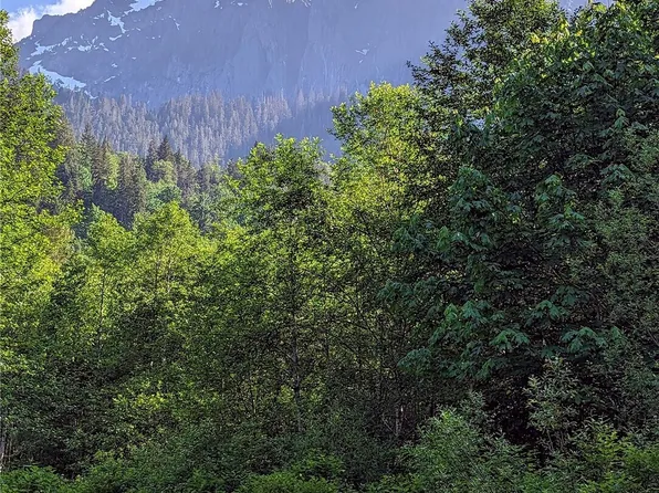 49618 Mt Index River Road, Gold Bar, WA 98251