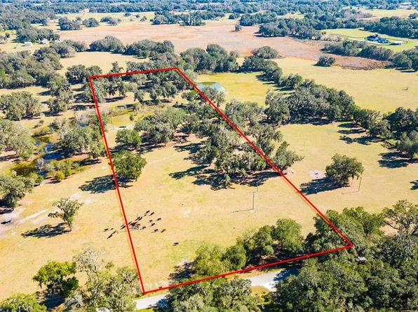 727 Cr, Webster, FL 33597