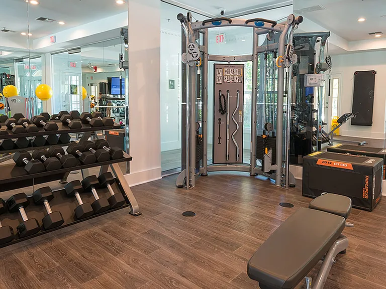 Selection of free weights and weight machines