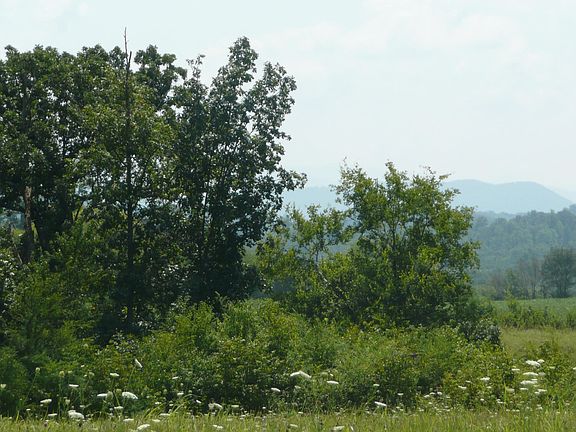 2nd image of Southern Hills Dr