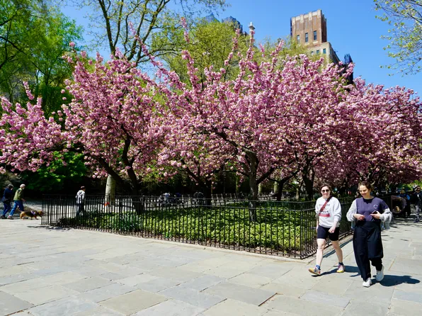 175 East 93rd Street 1A image 22 of 23