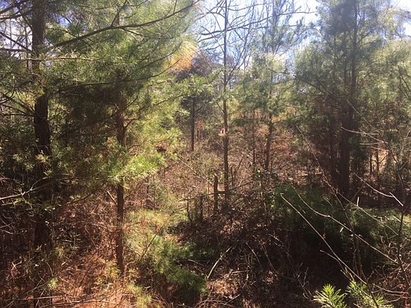 4th image of James Madison Hwy