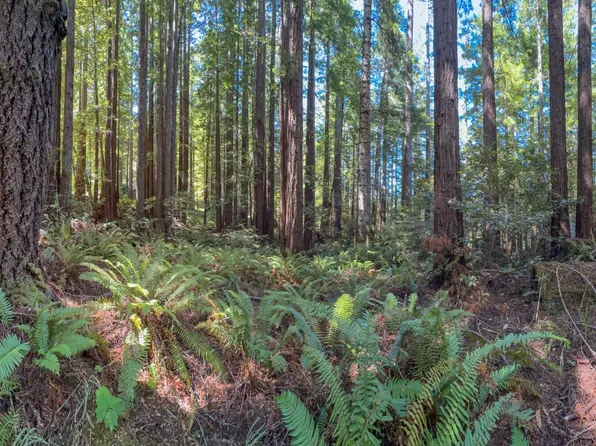 36505 Deep Woods Drive, The Sea Ranch, CA 95497