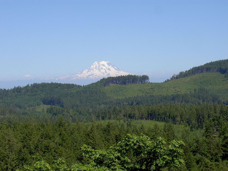 View of Mt. Rainier