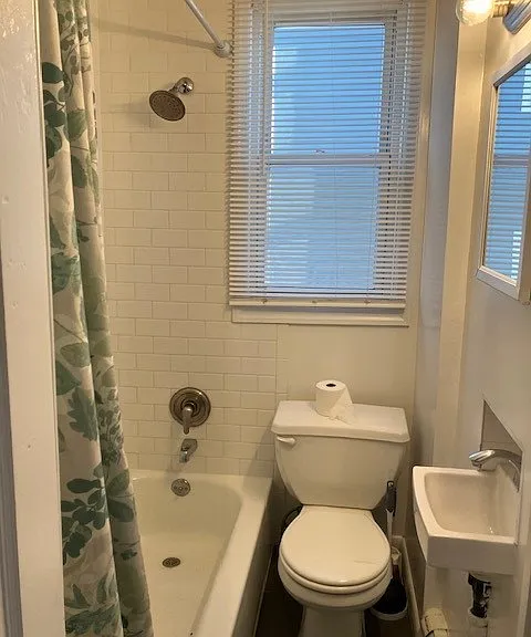 433 Lanza Ave #3 — Photo 6