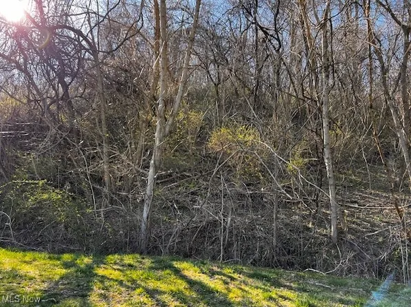 0 Monroe St, Shadyside, OH 43947