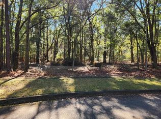19 Serenity Park Ln, Georgetown, SC 29440