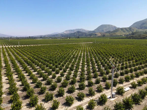 2417 S Mountain Rd, Fillmore, CA 93015