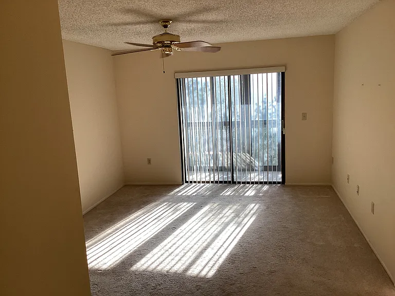 2593 Countryside Blvd #305 — Photo 8