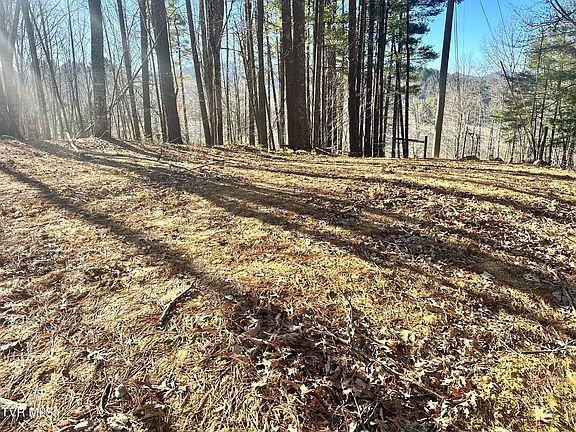 5th image of 256 William Hawkins Ln