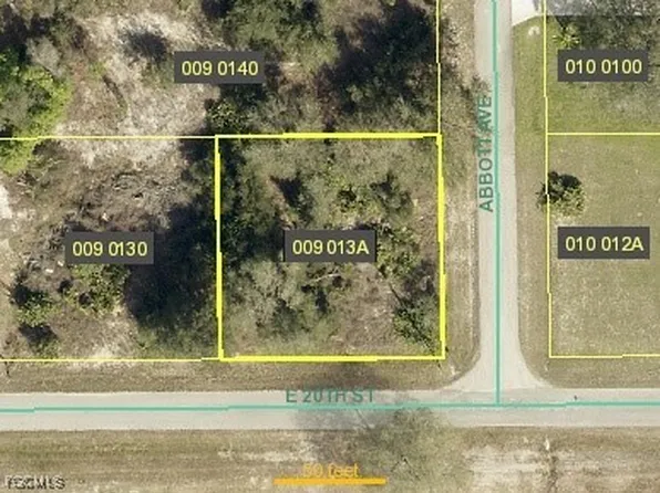 4307 E 20th St, Alva, FL 33920