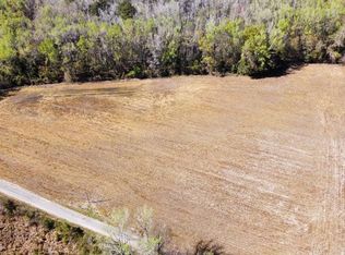 PARCEL Doc Rd #B, Branchville, SC 29432