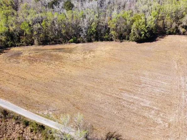 PARCEL Doc Rd #B, Branchville, SC 29432