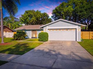15906 Crying Wind Dr, Tampa, FL 33624