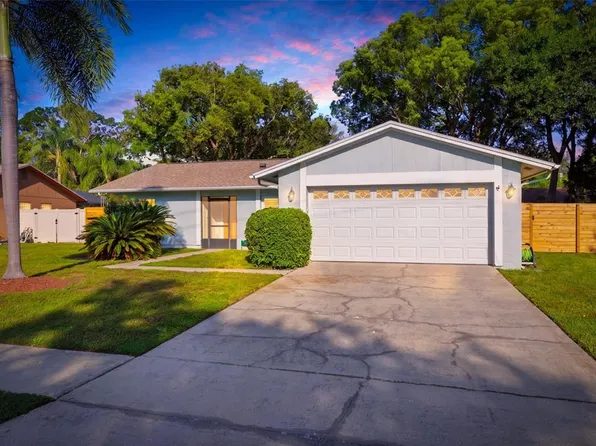 15906 Crying Wind Dr, Tampa, FL 33624