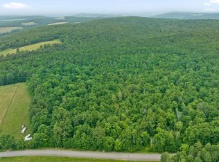 99 Rich Hill Rd #9, Whitney Pt, NY 13862