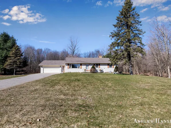 12631 Pine Island Dr NE, Sparta, MI 49345