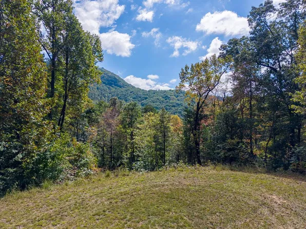 10 Berry Cove Rd, Franklin, NC 28734