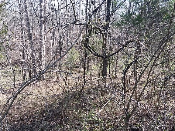 2nd image of 000 Indian Creek Road