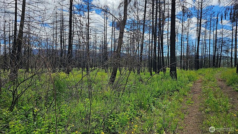 2nd image of 34 XX Lael-Flat Creek Road