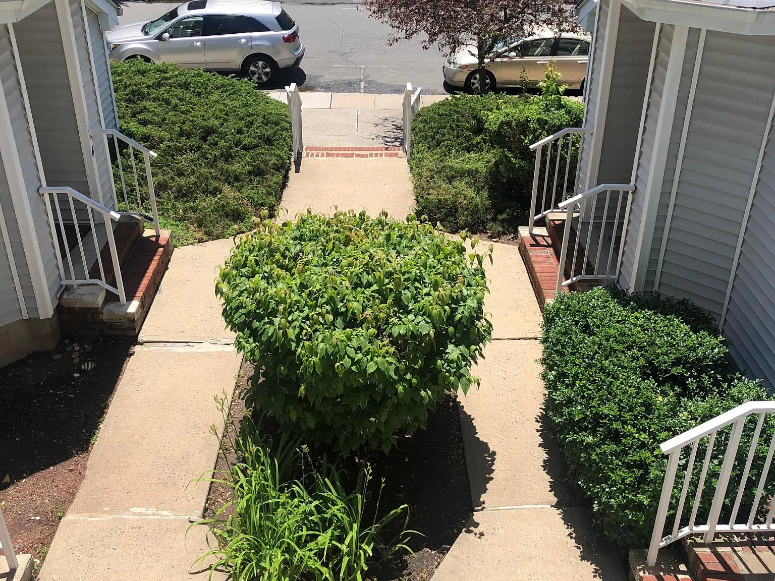 706 Jesse Way — Photo 1