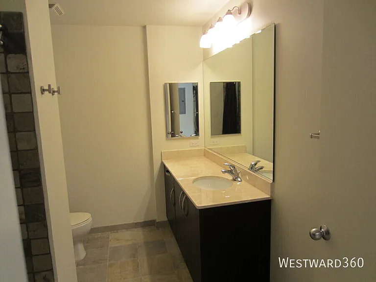225 S Sangamon #605 — Photo 3