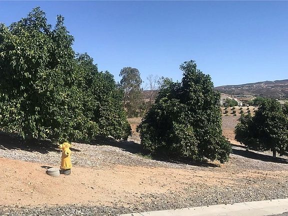 4th image of 38538 Martin Ranch Rd #12