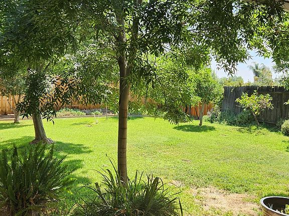 Large, beautiful backyard