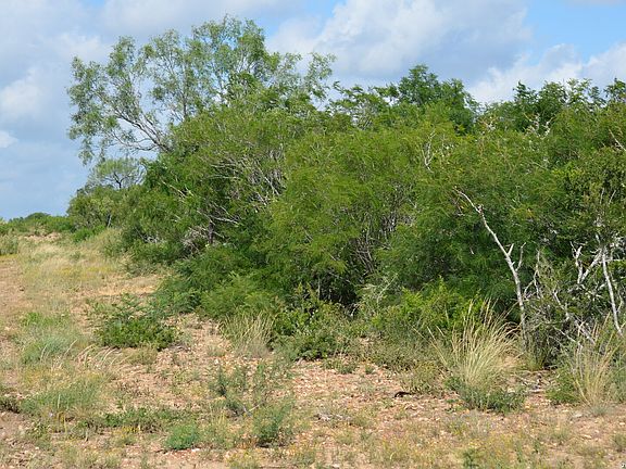 5th image of TBD CR 2537/Moore Hollow Road LOT 3
