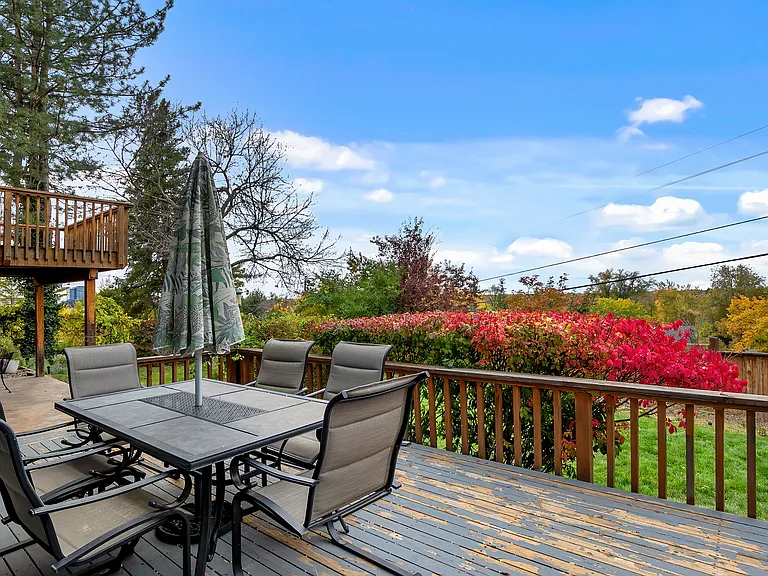 Backyard patio view.