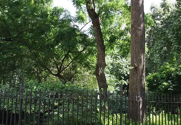 Rented by Douglas Elliman | media 13