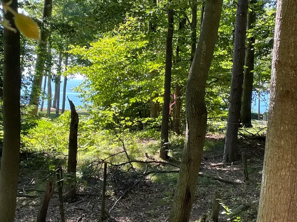 1764 S Sable Point Dr, Shelby, MI 49455