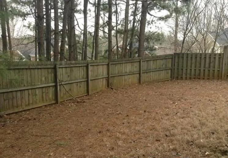 Fenced backyard