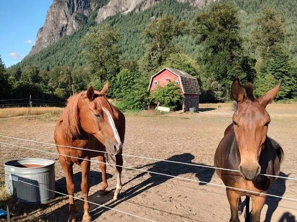 10506 428th Avenue SE, North Bend, WA 98045