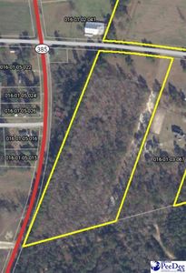 Family Farm Rd, Mc Coll, SC, 29570