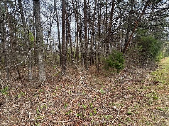 5th image of 0 Brims Grove Rd