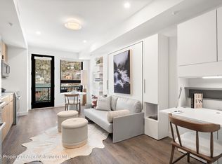 140 Basalt Center Cir #316, Basalt, CO 81621