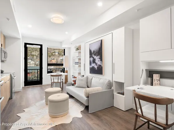 140 Basalt Center Cir #316, Basalt, CO 81621