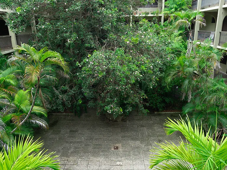 357 Calle Shl — Photo 17